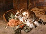 unknow artist Rabbits 135 china oil painting reproduction